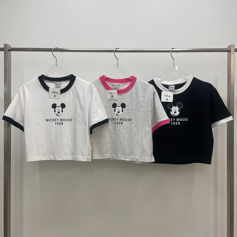 REVE CITE韓國直郵東大門實拍女裝新款24春夏休閑人氣T恤REVE CITET恤