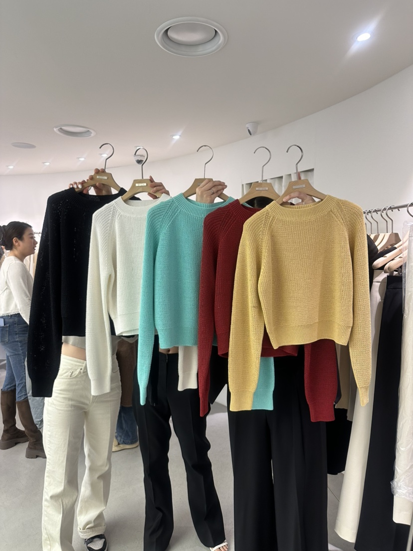 WIDA-P韓國直郵女裝新款24春夏熱賣時尚職業人氣推薦上衣WIDA/RENEJ上衣