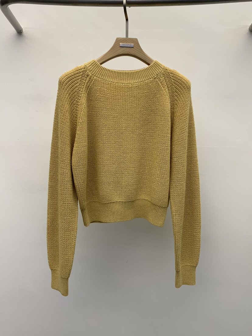 WIDA-P韓國直郵女裝新款24春夏熱賣時尚職業人氣推薦上衣WIDA/RENEJ上衣圖色2