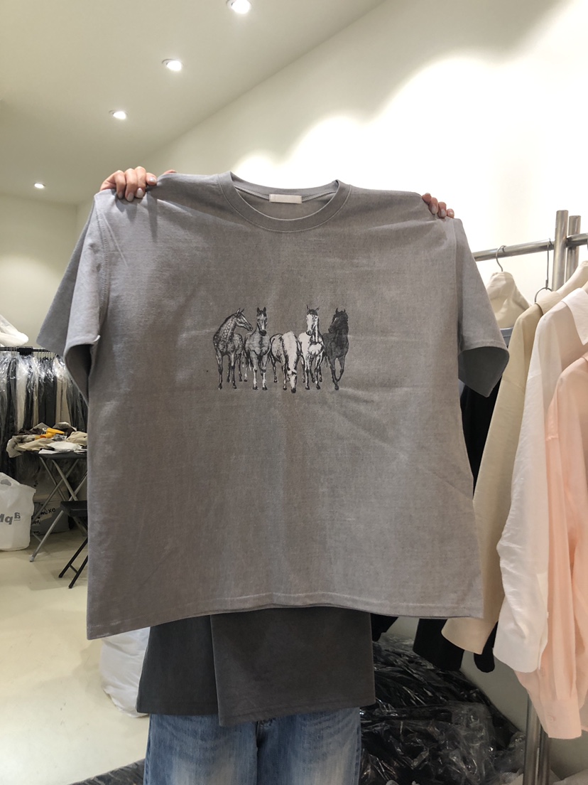 WANTS韓國直郵女裝新品時尚休閑真品人氣職業推薦24春夏T恤DENISET恤圖色3