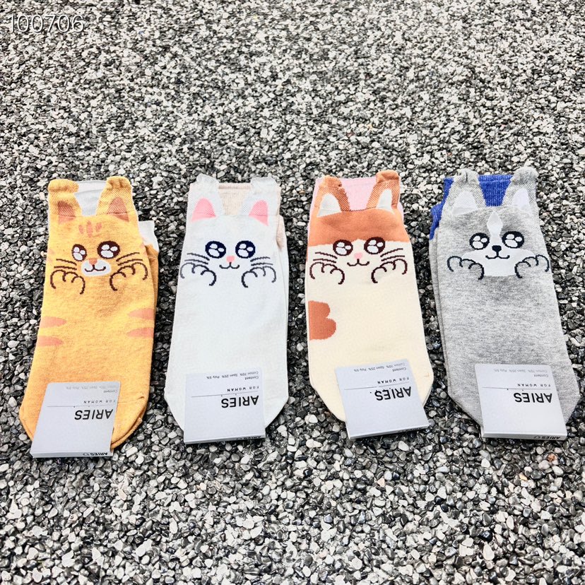 CACTUS十雙起/可混搭韓國直郵東大門代購女裝新品時尚襪子CACTUS十雙起/可混搭襪子
