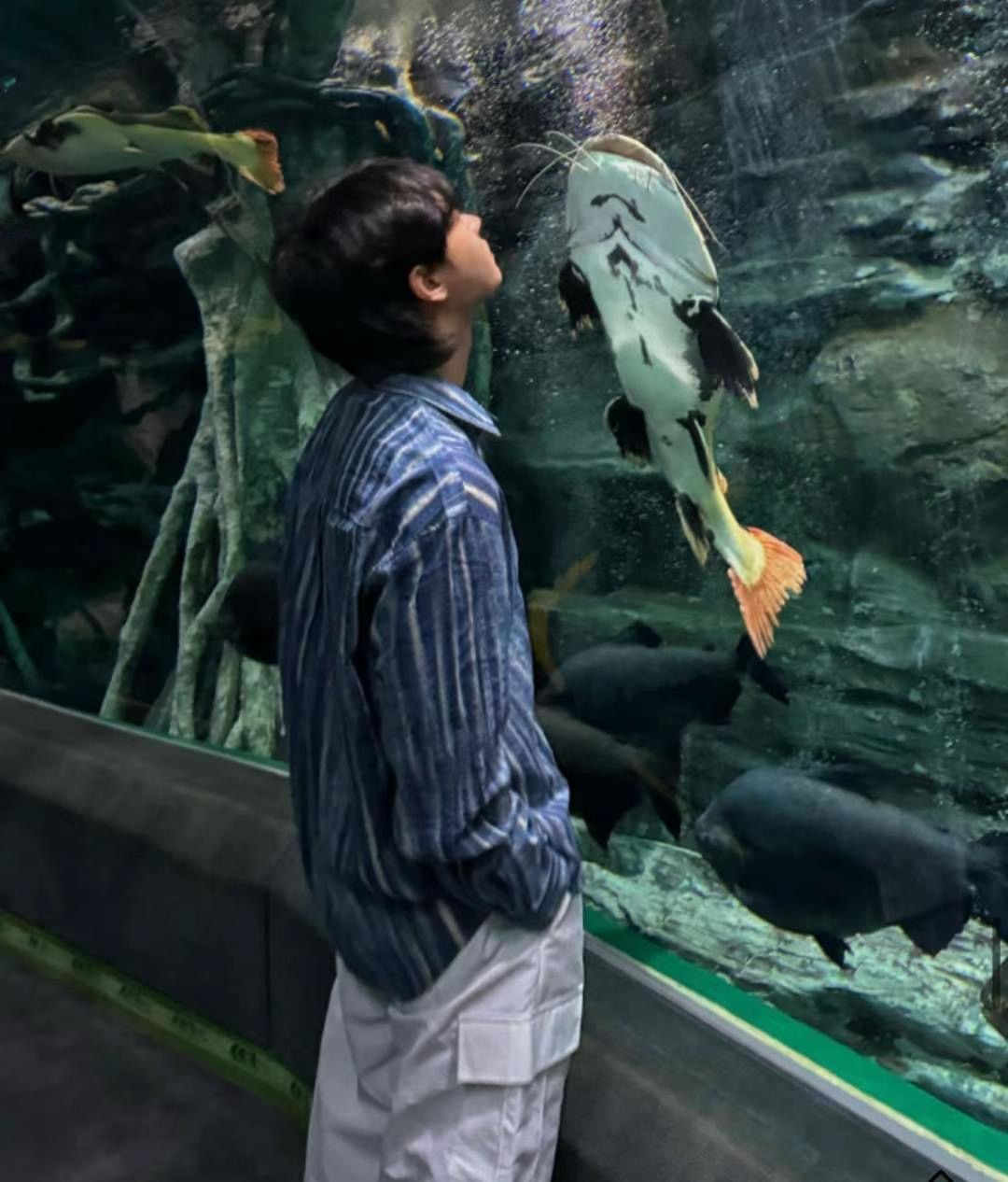 OASIS直郵韓國代購女裝新款熱賣真品人氣推薦休閑襯衫蕾絲衫OASIS襯衫/蕾絲衫