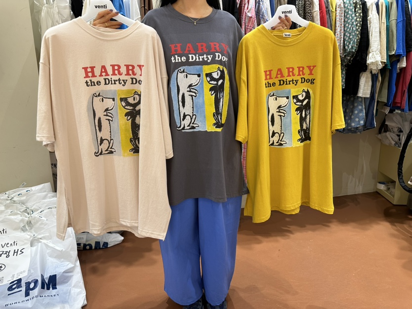 Venti韓國直郵女裝新款24春夏時尚休閑推薦人氣真品熱賣T恤VENTIT恤圖色3左三色