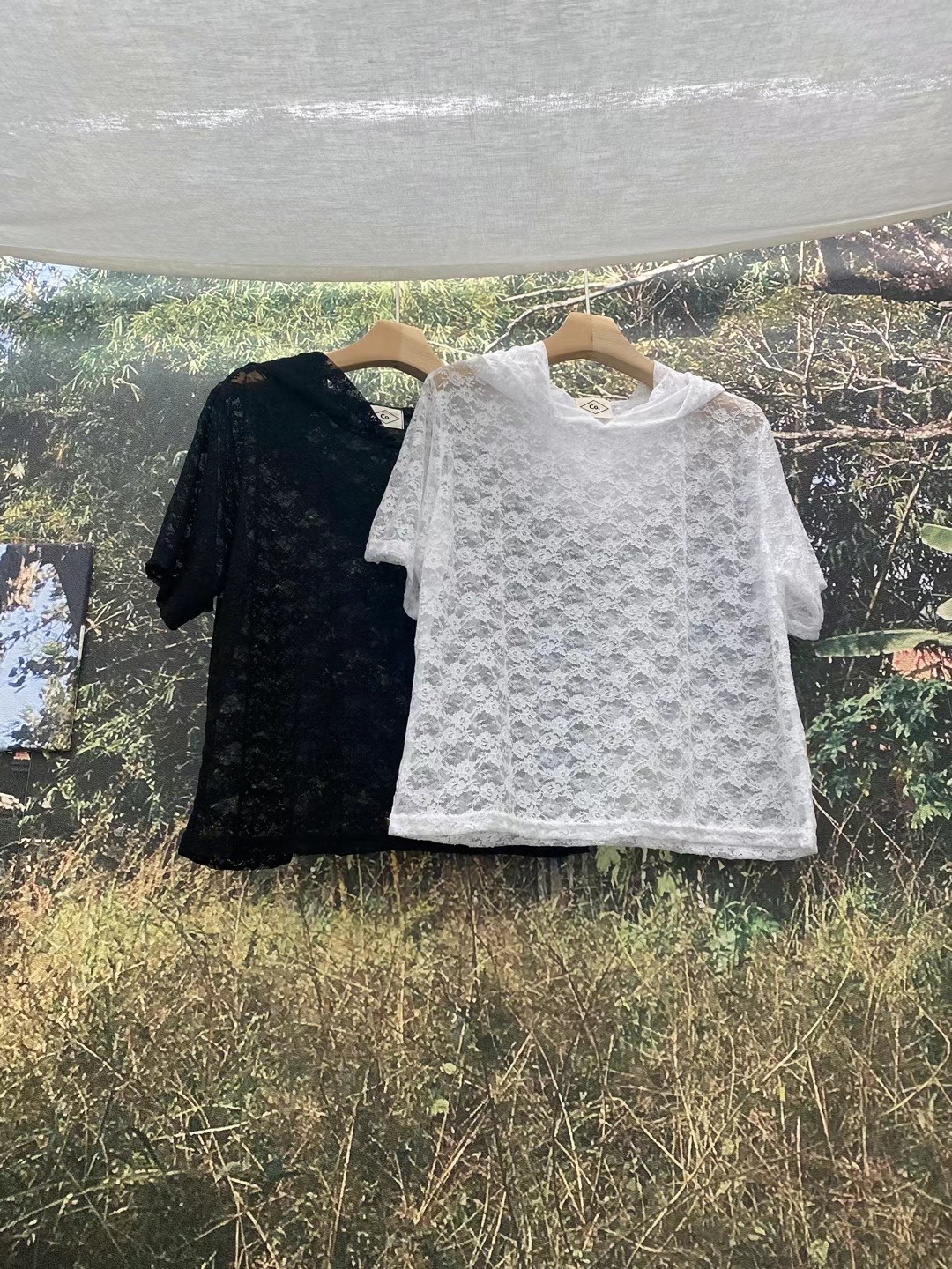 LIVING/CO-씨오-T直郵韓國代購女裝新品時尚推薦襯衫蕾絲衫CO CO/LIVING襯衫/蕾絲衫