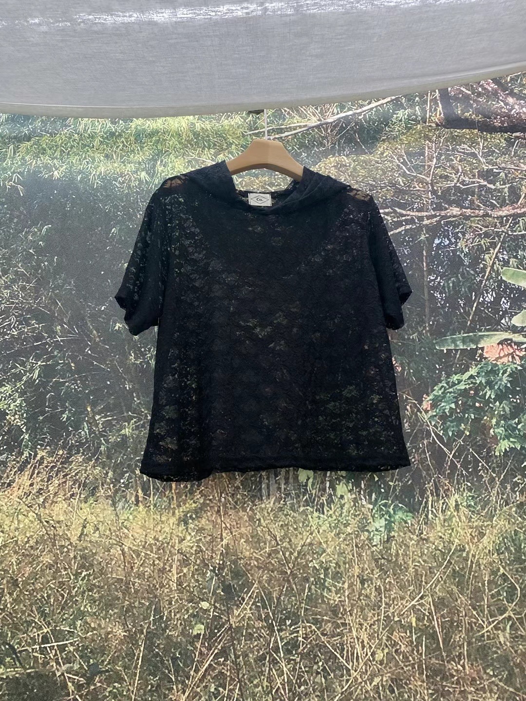 LIVING/CO-씨오-T直郵韓國代購女裝新品時尚推薦襯衫蕾絲衫CO CO/LIVING襯衫/蕾絲衫圖色2
