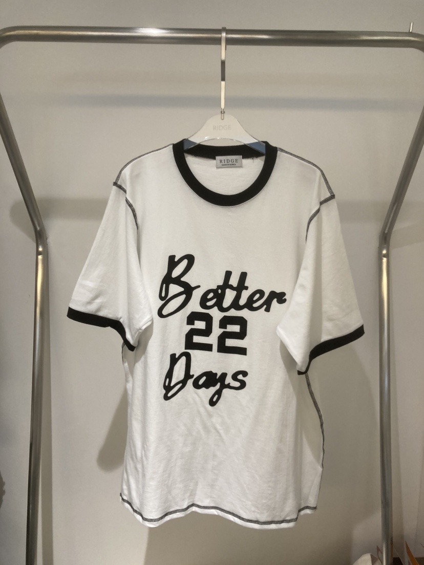 RIDGE-P直郵韓國代購女裝新品24秋夏休閑推薦職業人氣T恤RIDGE-PT恤圖色2