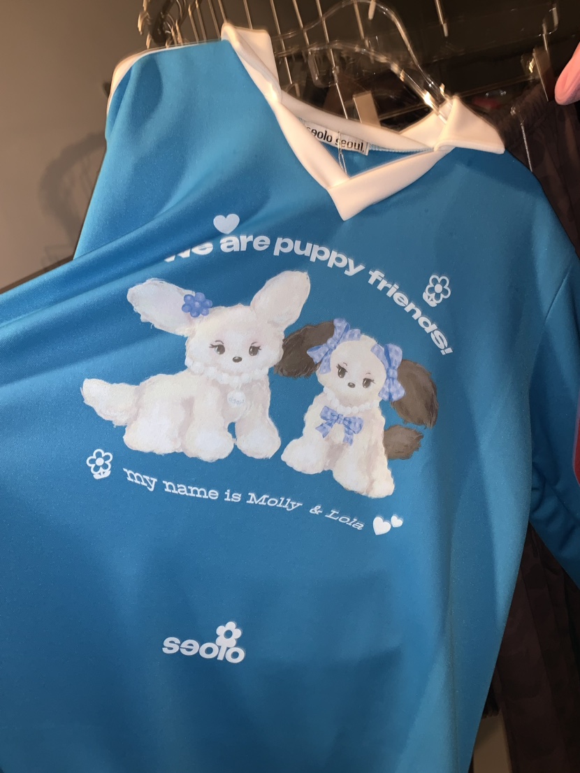 Seolo seoul直郵韓國代購女裝新品真品時尚熱賣24春夏衛衣Seolo seoul衛衣圖色2