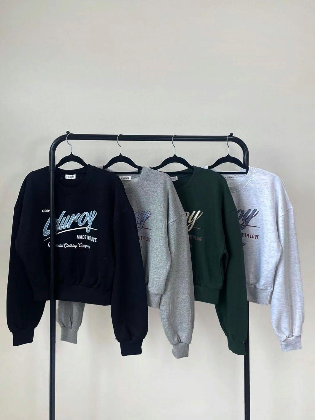 BCLOTHES-ot韓國直郵女裝新款推薦休閑職業熱賣人氣24秋冬衛衣BCLOTHES衛衣圖色2左二色
