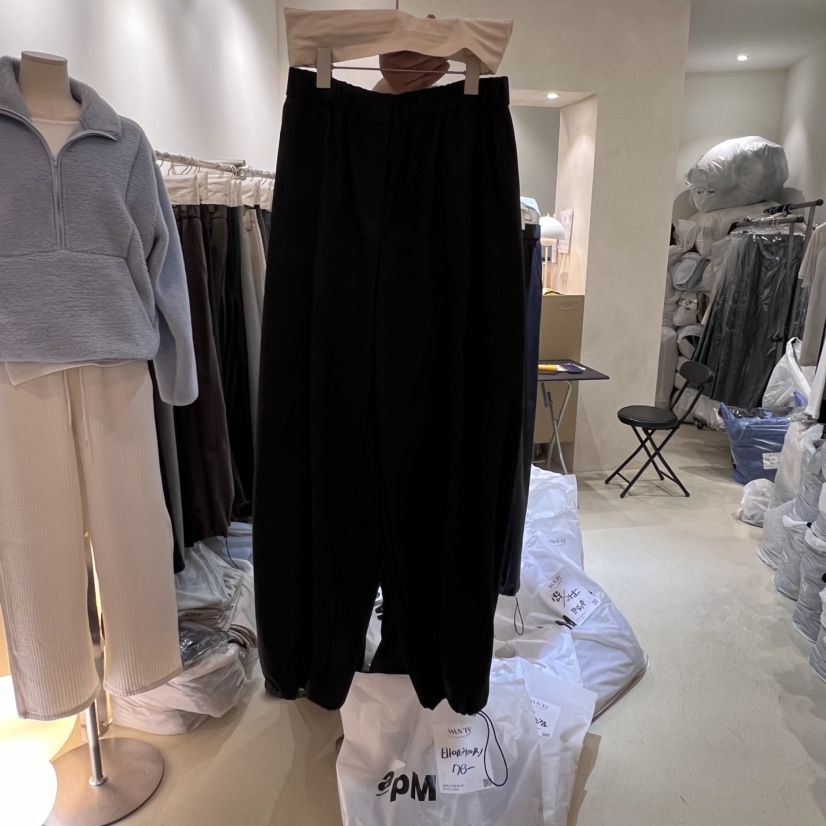 WANTS韓國直郵東大門實拍女裝新款推薦時尚休閑24秋冬休閑褲DENISE休閑褲圖色2