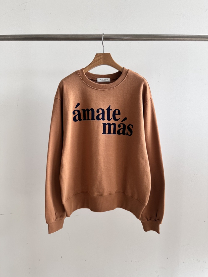 VALUABLE直郵韓國代購女裝新品時尚熱賣24秋冬推薦休閑衛衣VALUABLE衛衣圖色3