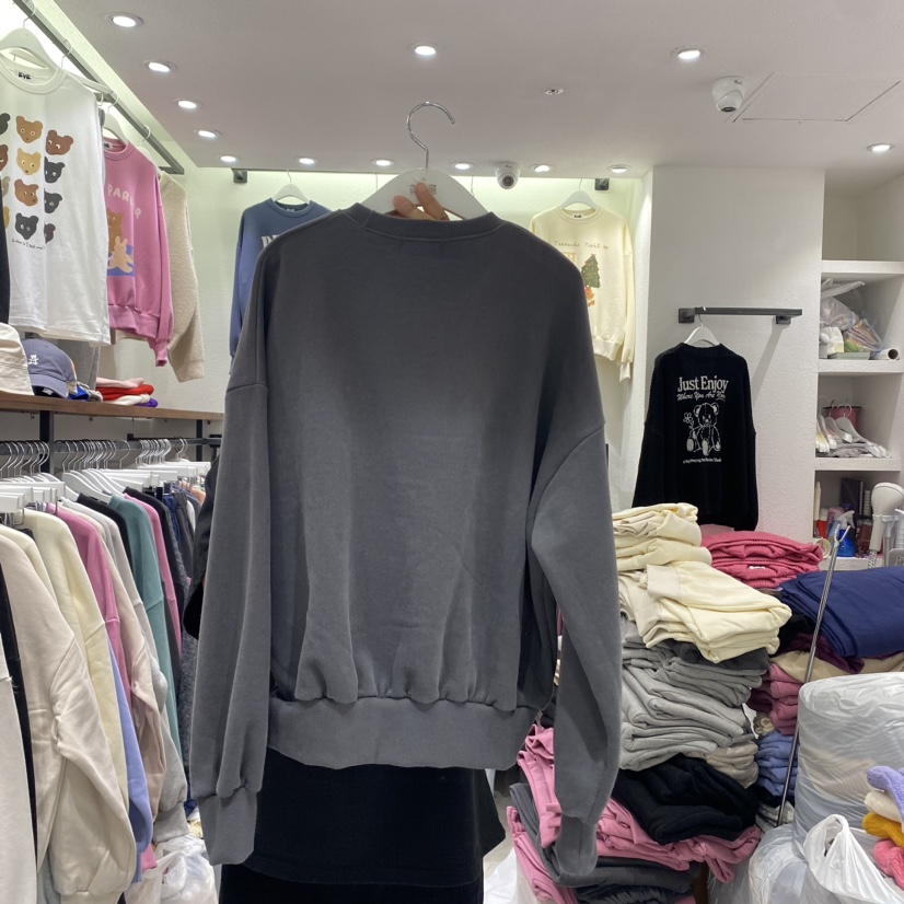 EVE韓國直郵東大門實拍女裝新品24秋冬熱賣人氣休閑時尚衛衣EVE衛衣