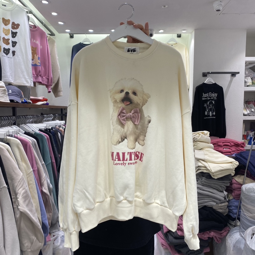 EVE韓國直郵東大門代購女裝新品真品人氣職業時尚休閑衛衣羊毛EVE衛衣