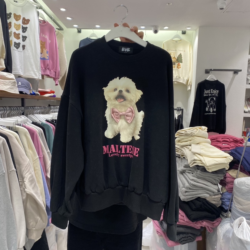 EVE韓國直郵東大門代購女裝新品真品人氣職業時尚休閑衛衣羊毛EVE衛衣圖色4