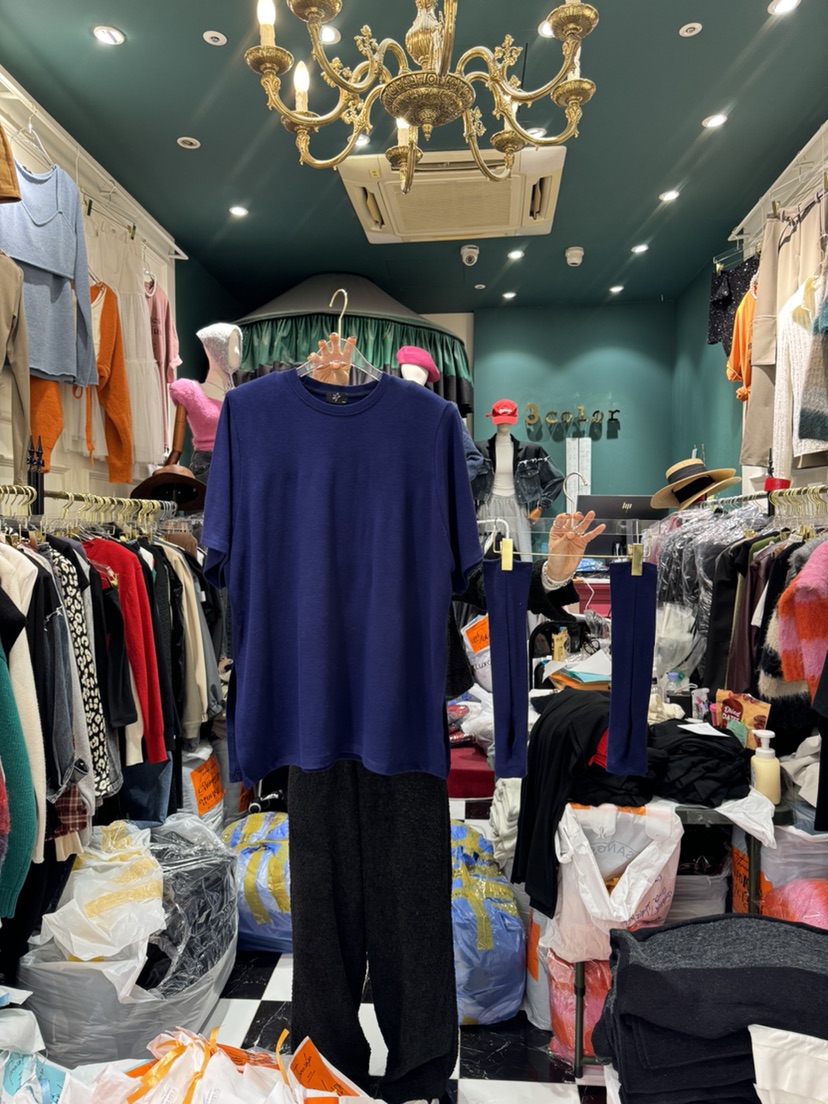 Three color韓國直郵女裝新款時尚職業熱賣推薦24秋冬T恤Three colorT恤圖色3