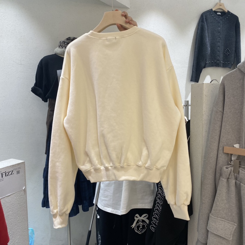 FIZZ韓國直郵東大門實拍女裝新款職業24秋冬熱賣衛衣加絨鵝FIZZ衛衣