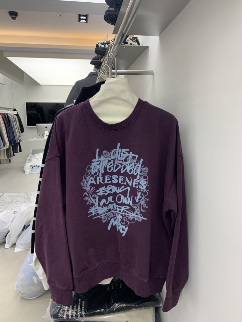 SENSE ERA-男裝韓國直郵女裝新品推薦真品人氣24秋冬衛衣SENSE ERA衛衣圖色3