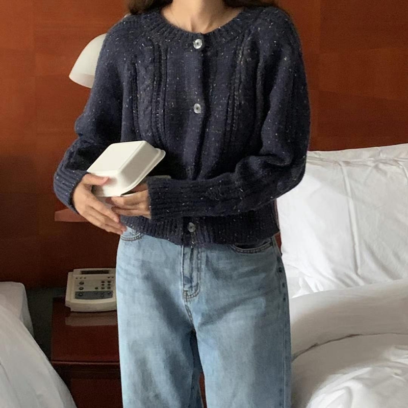 BLUSHER韓國直郵東大門代購女裝新款時尚24秋冬人氣針織衫BLUSHER針織衫