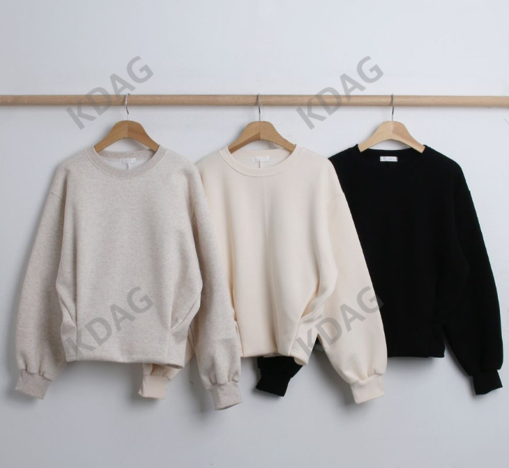 BLESSU韓國直郵東大門代購女裝新款熱賣休閑24秋冬衛衣拉絨BLESSU衛衣