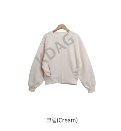 BLESSU韓國直郵東大門代購女裝新款熱賣休閑24秋冬衛衣拉絨BLESSU衛衣圖色2