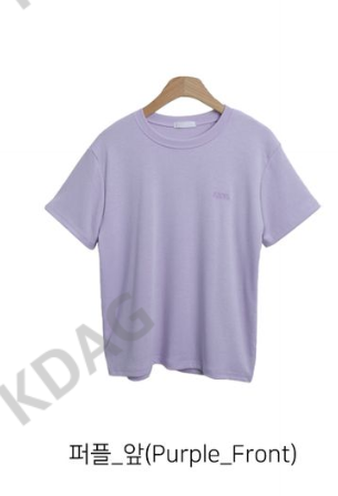 BLESSU韓國直郵東大門代購女裝新品人氣時尚真品休閑T恤刺繡BLESSUT恤圖色1