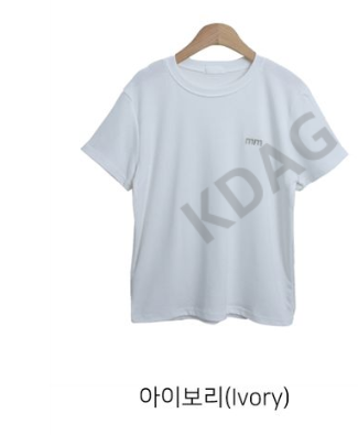 BLESSU韓國直郵東大門代購女裝新品人氣時尚真品休閑T恤刺繡BLESSUT恤圖色2