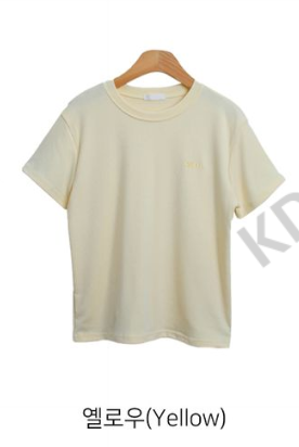 BLESSU韓國直郵東大門代購女裝新品人氣時尚真品休閑T恤刺繡BLESSUT恤圖色3