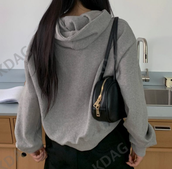 BLESSU韓國直郵東大門代購女裝新品人氣衛衣刺繡拉絨短款連帽BLESSU衛衣