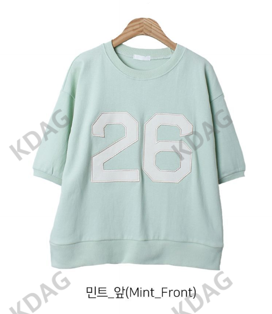 BLESSU韓國直郵東大門代購女裝新款24秋冬真品熱賣推薦T恤刺繡BLESSUT恤圖色1