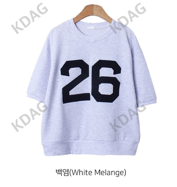 BLESSU韓國直郵東大門代購女裝新款24秋冬真品熱賣推薦T恤刺繡BLESSUT恤圖色2