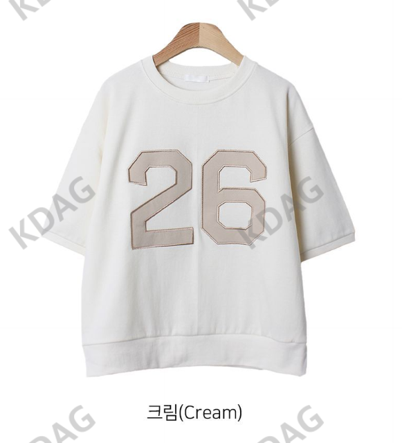 BLESSU韓國直郵東大門代購女裝新款24秋冬真品熱賣推薦T恤刺繡BLESSUT恤圖色3