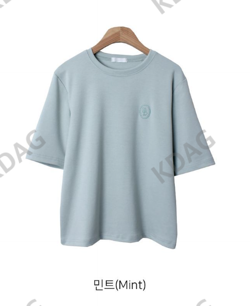 BLESSU直郵韓國代購女裝新品推薦職業時尚24秋冬休閑熱賣T恤BLESSUT恤圖色3