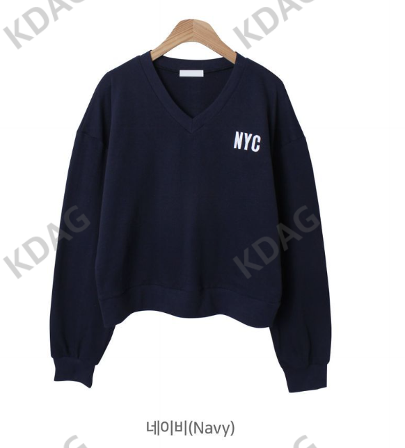 BLESSU直郵韓國代購女裝新品職業24秋冬真品時尚推薦衛衣V領BLESSU衛衣圖色3