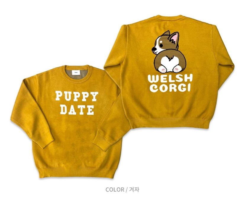 BARON-A韓國直郵女士新品職業人氣推薦24秋夏真品時尚衛衣BARON-A衛衣