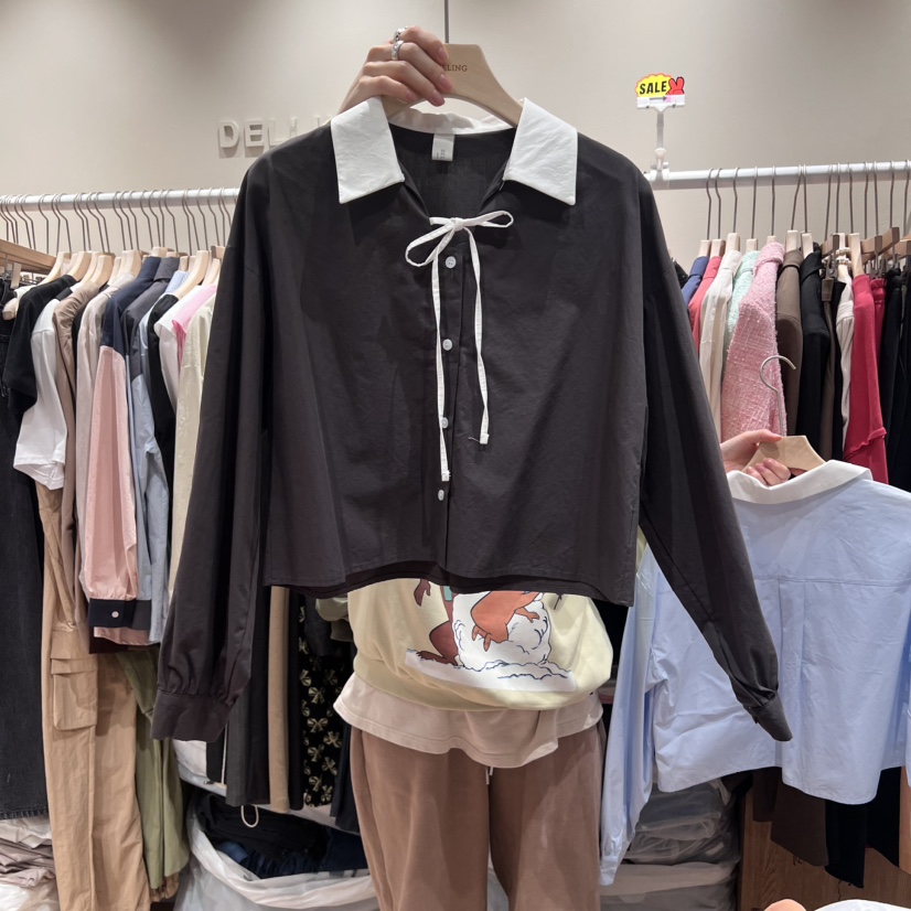 DELLING韓國直郵女士新款24秋夏真品職業推薦熱賣襯衫蕾絲衫DELLING襯衫/蕾絲衫圖色2