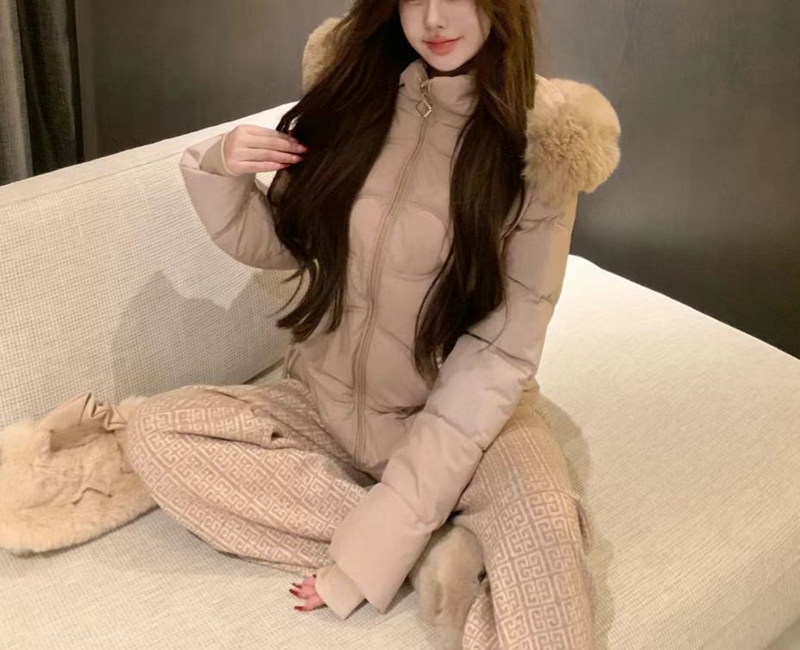 ETEMOY韓國直郵東大門實拍女裝新品推薦24秋冬職業短款棉服ETEMOY短款棉服