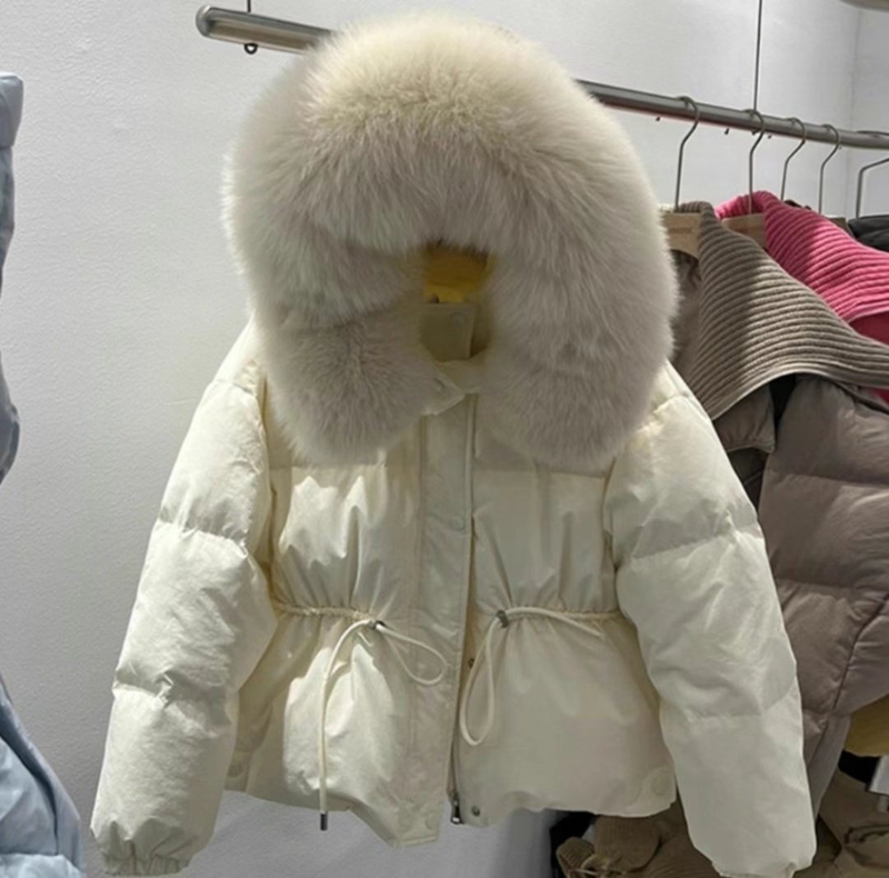 ETEMOY韓國直郵女裝新款職業熱賣人氣推薦時尚24秋冬短款棉服ETEMOY短款棉服圖色2