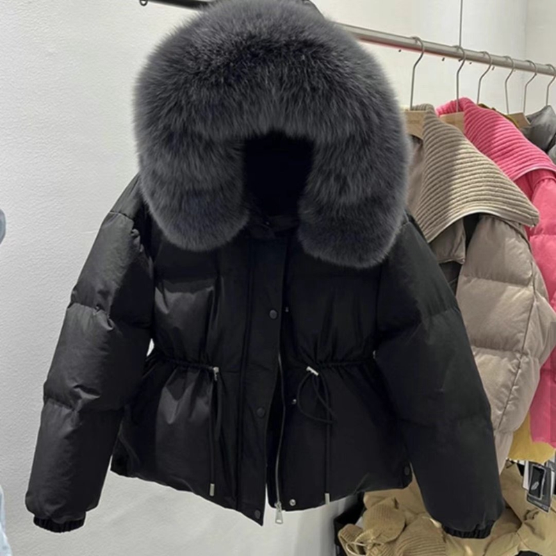 ETEMOY韓國直郵女裝新款職業熱賣人氣推薦時尚24秋冬短款棉服ETEMOY短款棉服圖色3