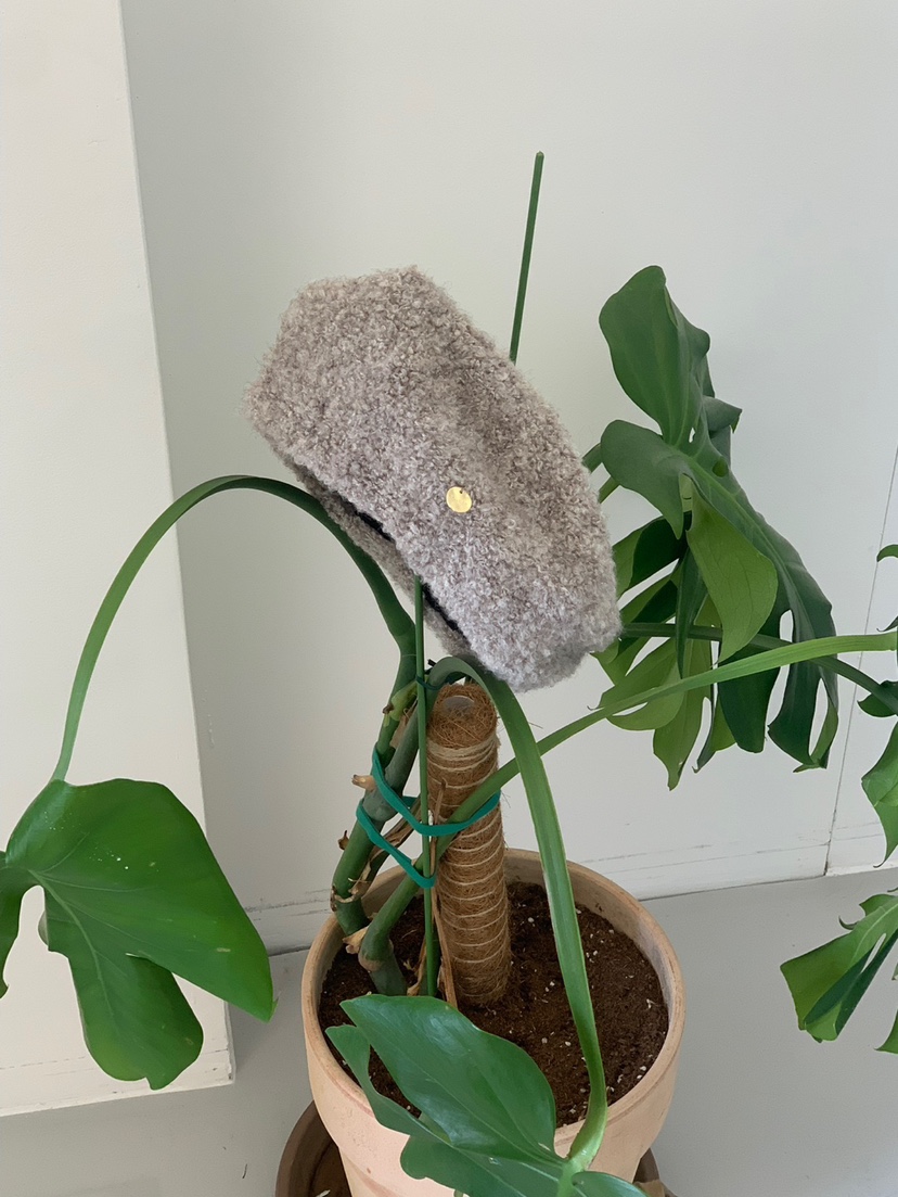 rou.tine韓國直郵東大門實拍女裝新款休閑人氣24秋冬職業帽子ANDYOUBROWN帽子圖色2