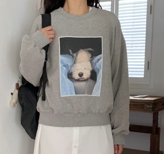 AN STAND直郵韓國代購女裝新品24秋冬職業真品人氣時尚衛衣AN STAND-2件起衛衣圖色2