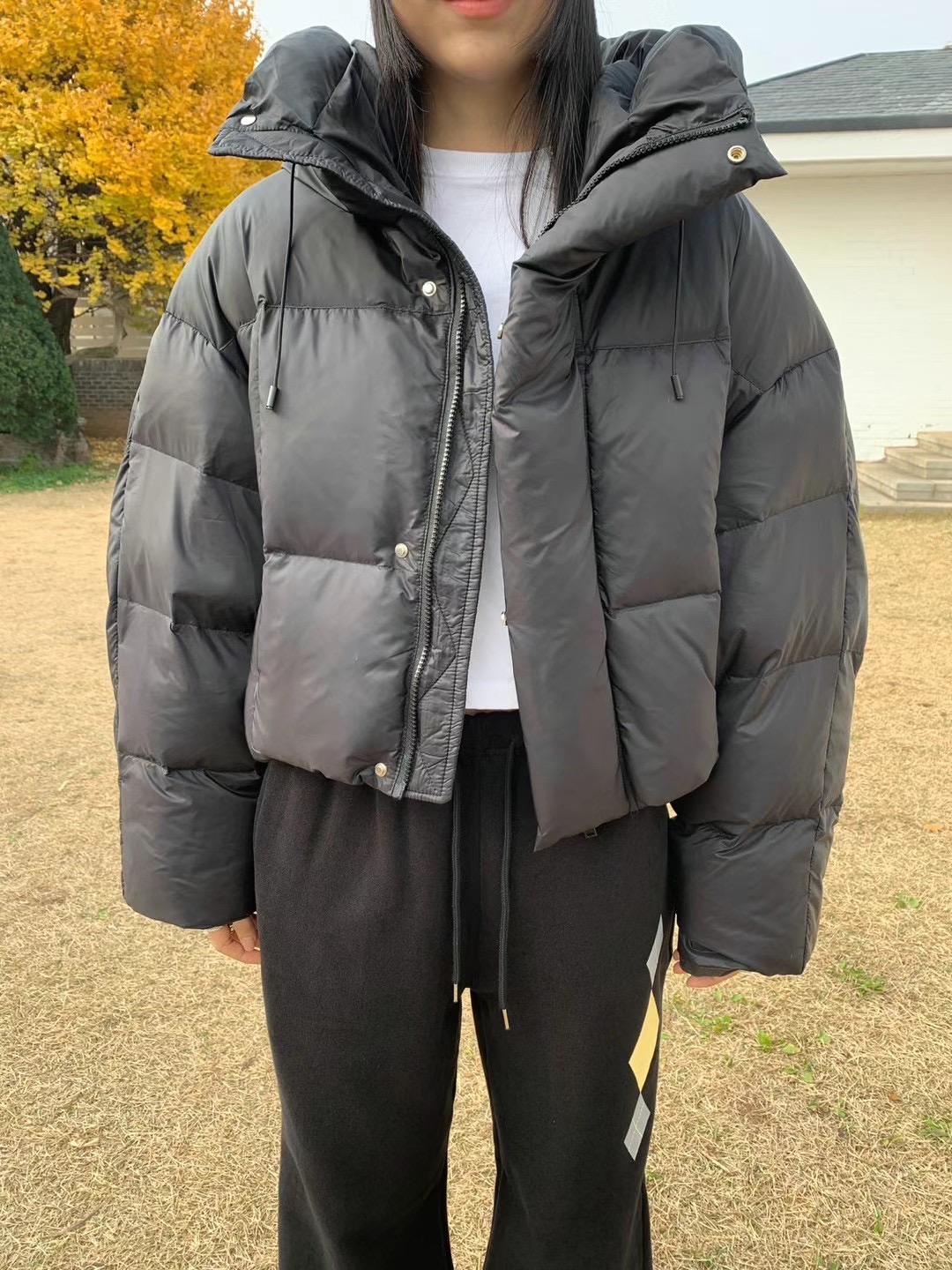 OWL韓國代購女士新品人氣職業推薦休閑時尚真品24秋夏短款棉服鴨OWL短款棉服