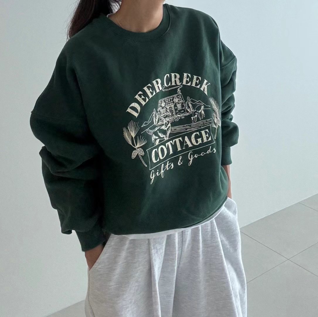 RIPPLE韓國直郵女裝新品時尚推薦24秋冬人氣熱賣休閑真品衛衣RIPPLE衛衣圖色3