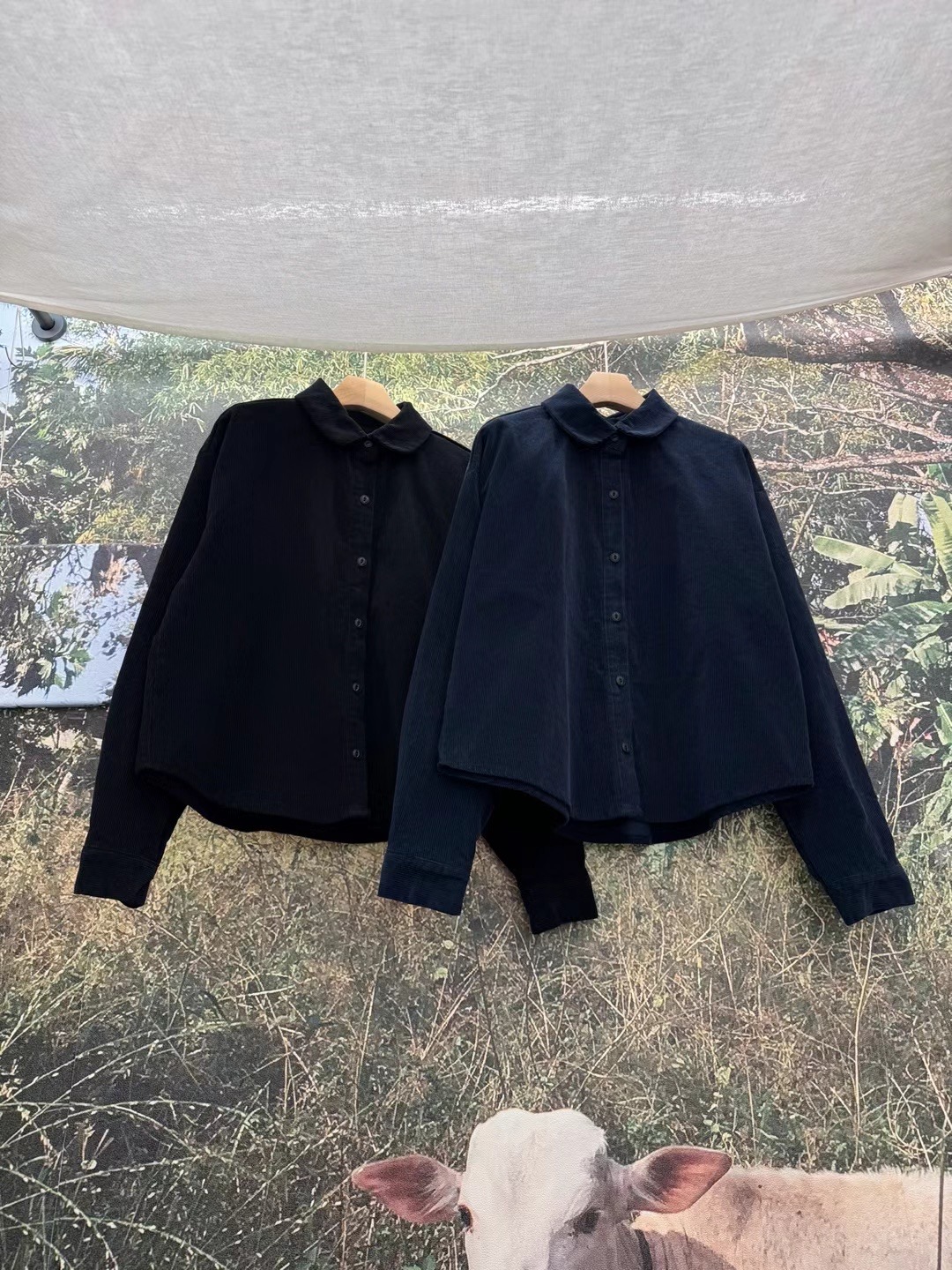 LIVING/CO-씨오-T韓國直郵東大門代購女裝新品休閑襯衫蕾絲衫CO CO/LIVING襯衫/蕾絲衫
