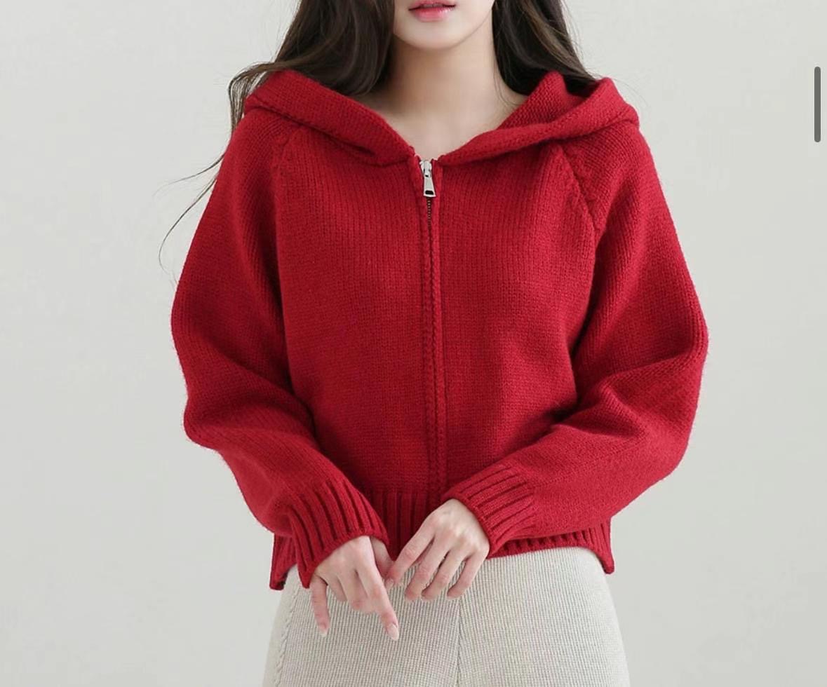 OLZE-올제-T韓國直郵女裝新品熱賣推薦24秋夏職業休閑針織衫OLZE-올제-T針織衫
