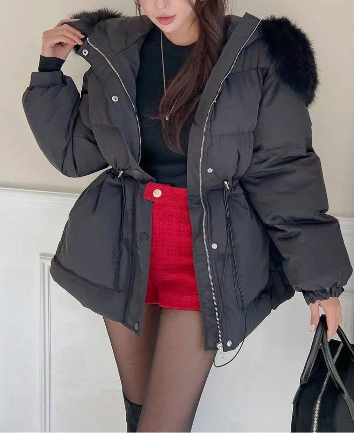 LAURENT韓國直郵東大門代購女裝新款休閑熱賣職業短款棉服填充LAURENT短款棉服圖色3