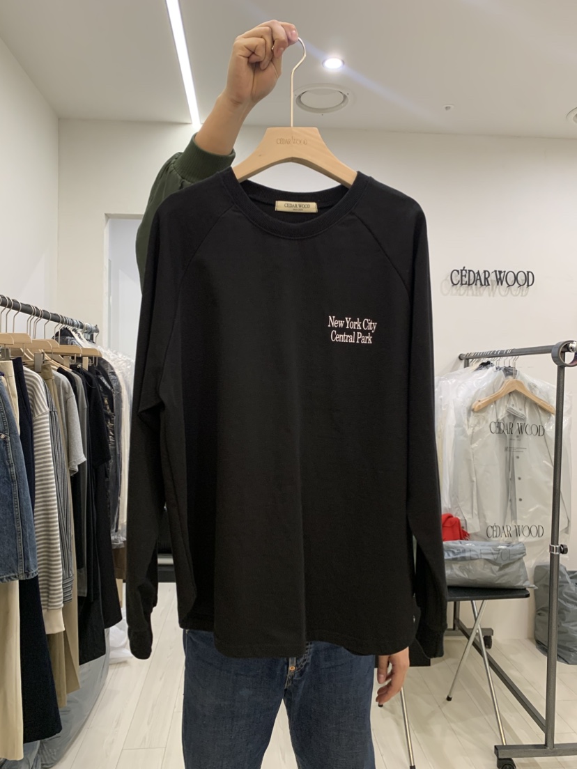 CEDARWOOD直郵韓國代購女裝新品職業時尚熱賣人氣推薦休閑T恤CEDARWOODT恤圖色2