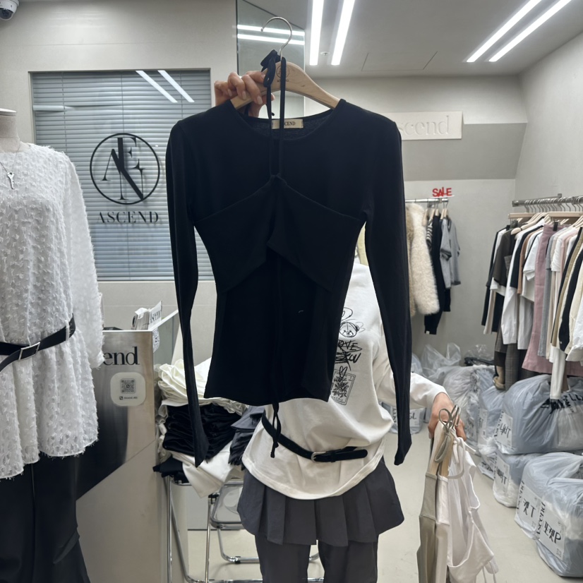 ASCEND韓國直郵東大門代購女裝新品時尚推薦25春夏職業長袖T恤ASCEND長袖T恤圖色2
