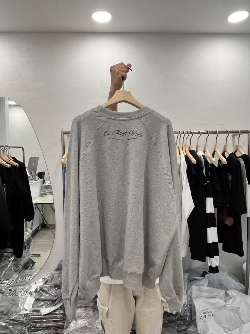 DELICATE韓國直郵㊣東大門實拍女裝新品職業25春夏休閑衛衣DELICATE衛衣