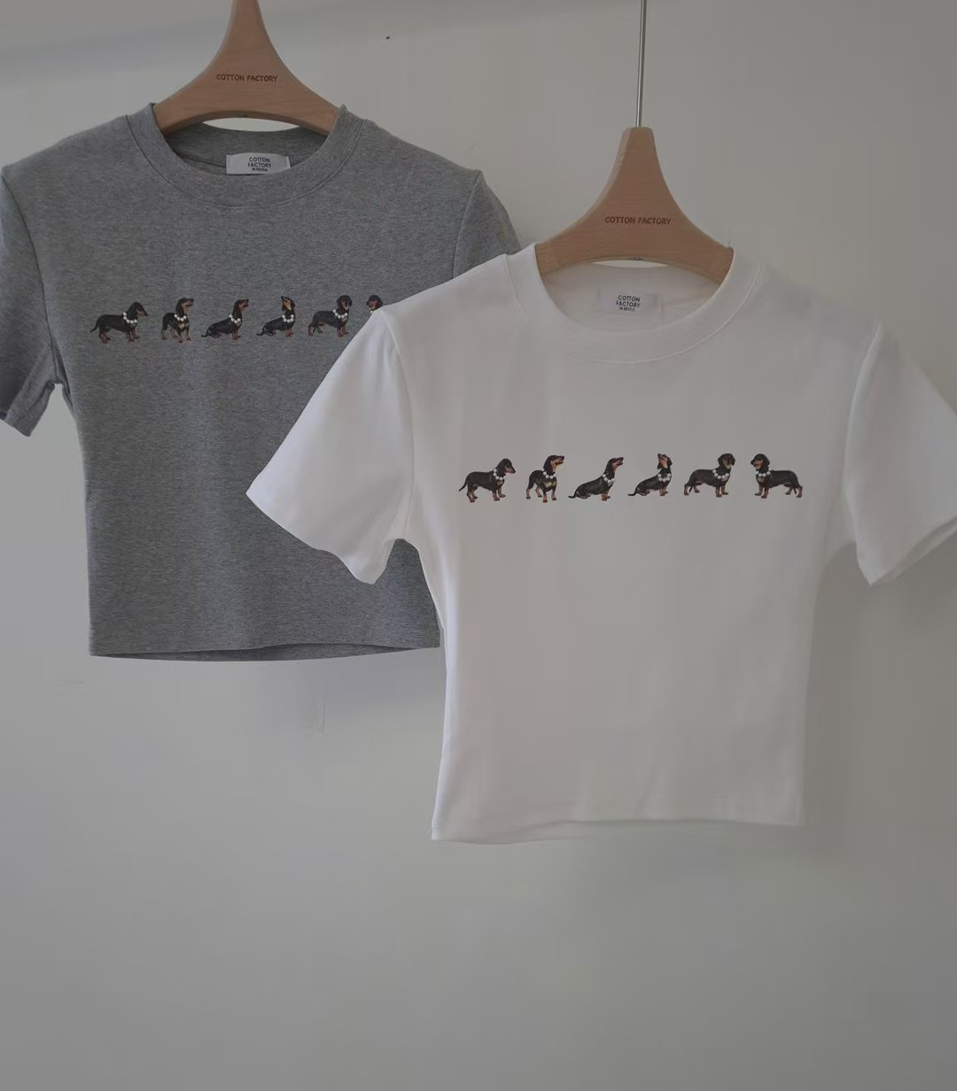 COTTONFACTORY直郵韓國代購㊣女裝新品25春夏推薦熱賣休閑T恤COTTONFACTORYT恤