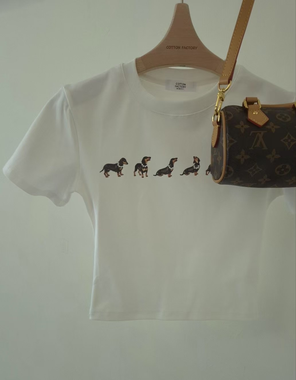 COTTONFACTORY直郵韓國代購㊣女裝新品25春夏推薦熱賣休閑T恤COTTONFACTORYT恤圖色4