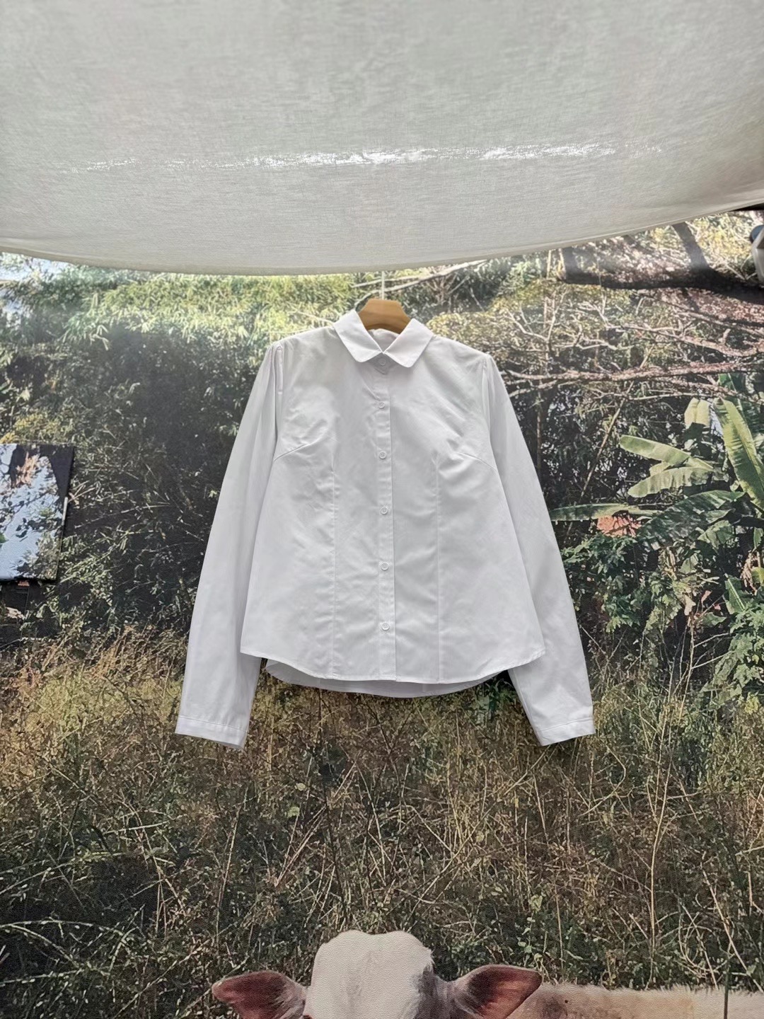 LIVING/CO-씨오-T韓國直郵㊣女裝新款人氣熱賣襯衫蕾絲衫CO CO/LIVING襯衫/蕾絲衫